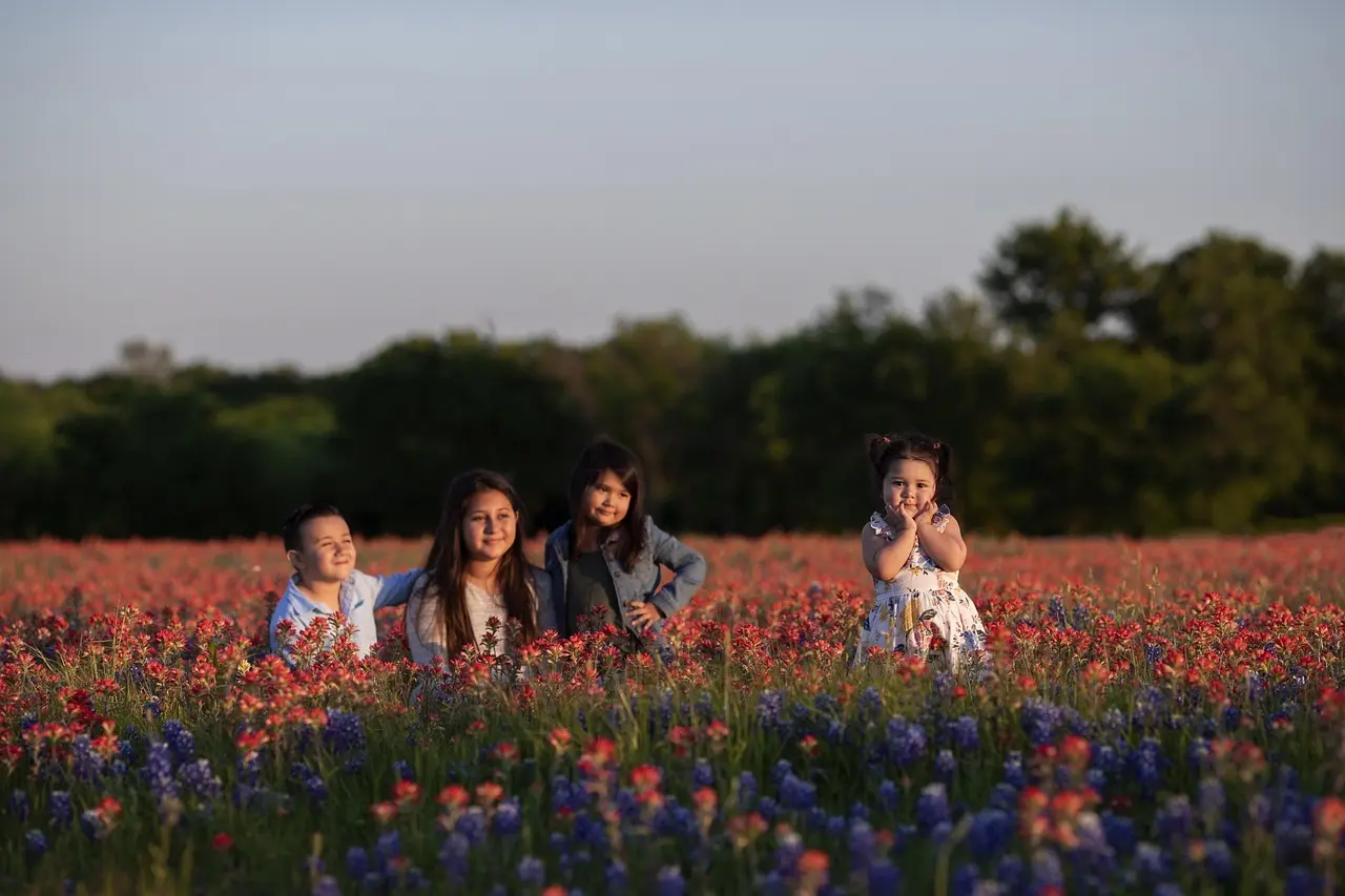 Farvel til græsplænen: Smukke, robuste alternativer der sparer tid og vand
